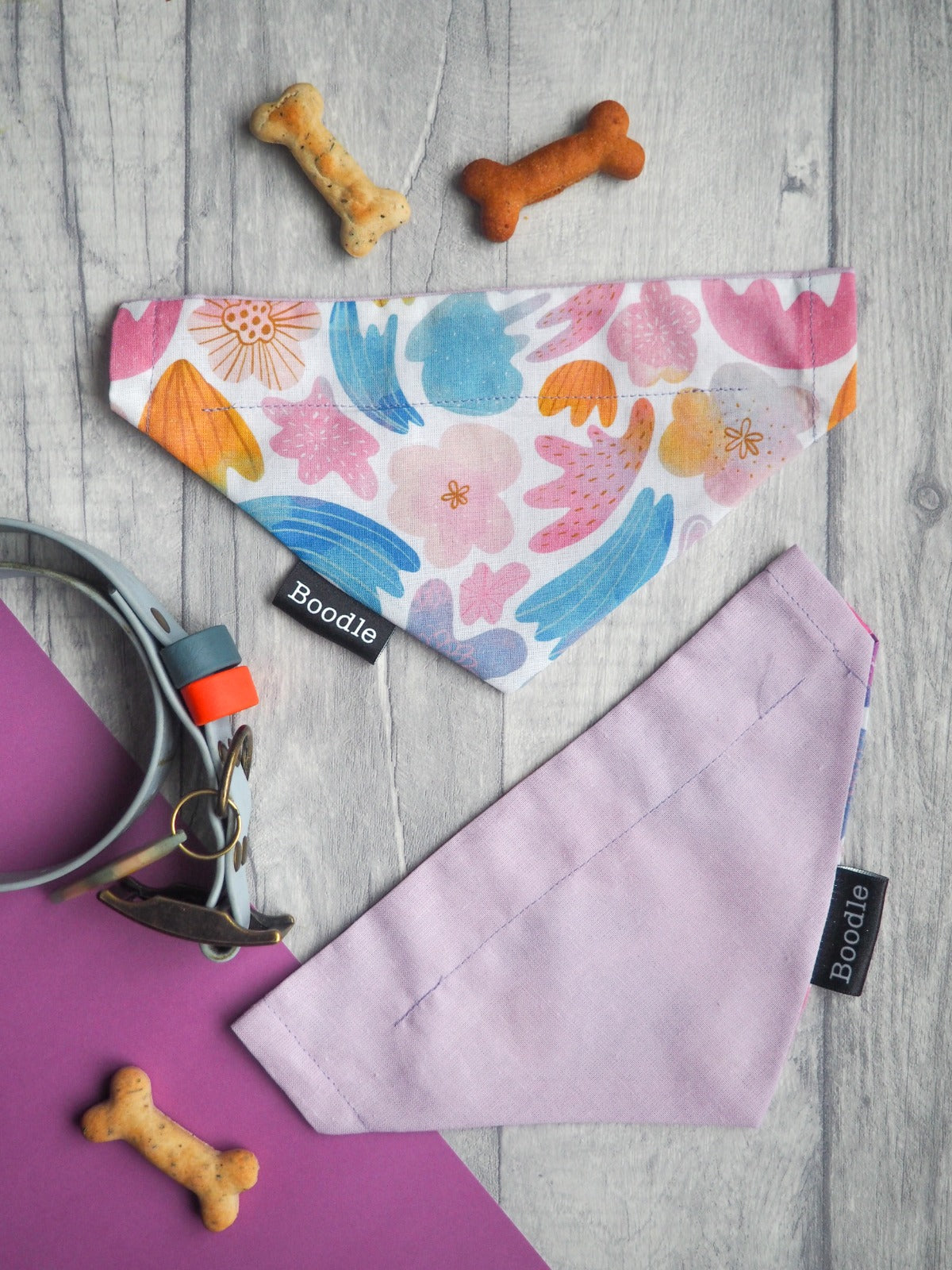 Coral Reef Dog Bandana