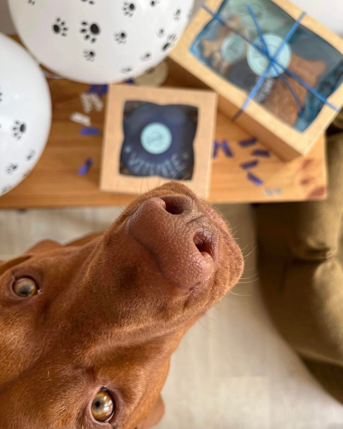 Birthday Boy Gift Box - Grain Free