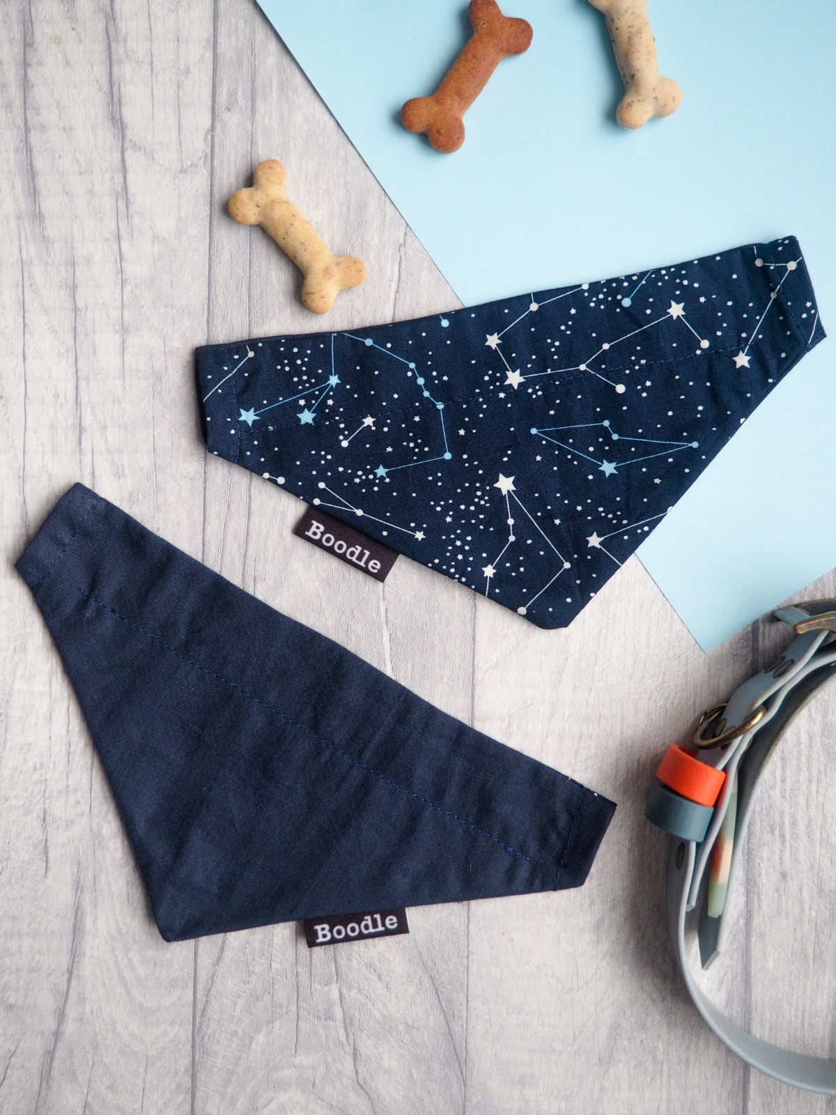 Cosmo - Cosmic Dog Bandana