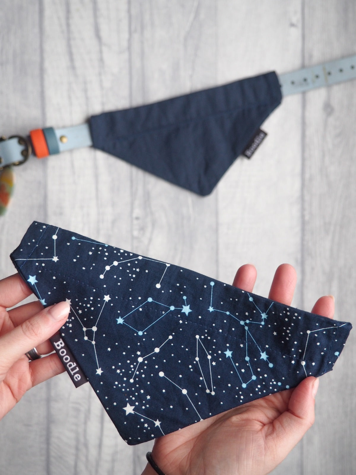 Cosmo - Cosmic Dog Bandana