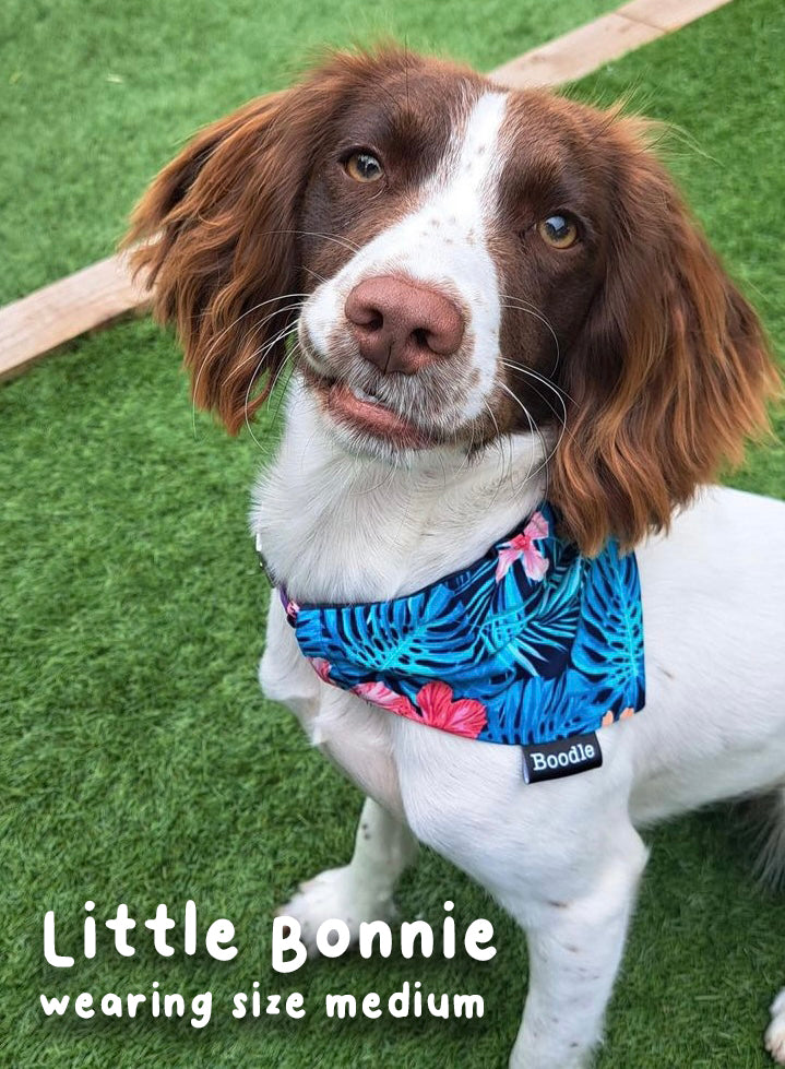 Hawaiian shop dog bandana