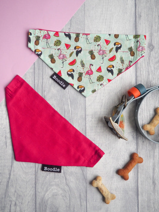 Toucan & Flamingo Dog Bandana